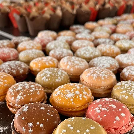 Starling Lausanne 4*