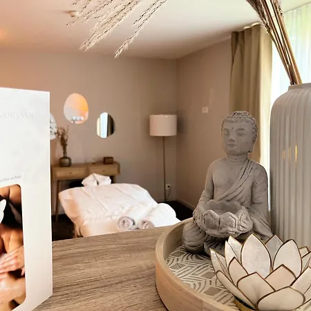 Hotel Starling Lausanne Saint Sulpice (Vaud)