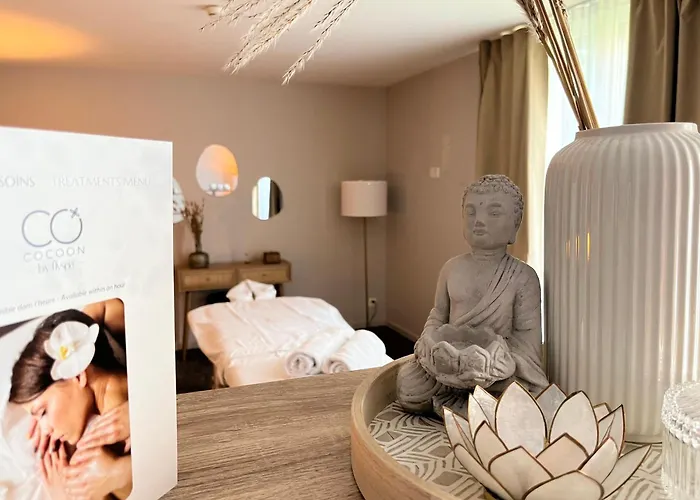 Hotel Starling Lausanne Saint Sulpice (Vaud)